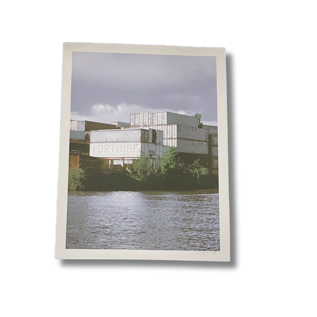 Tortoise Silkscreen Poster